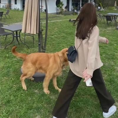 在里乔的阳光下