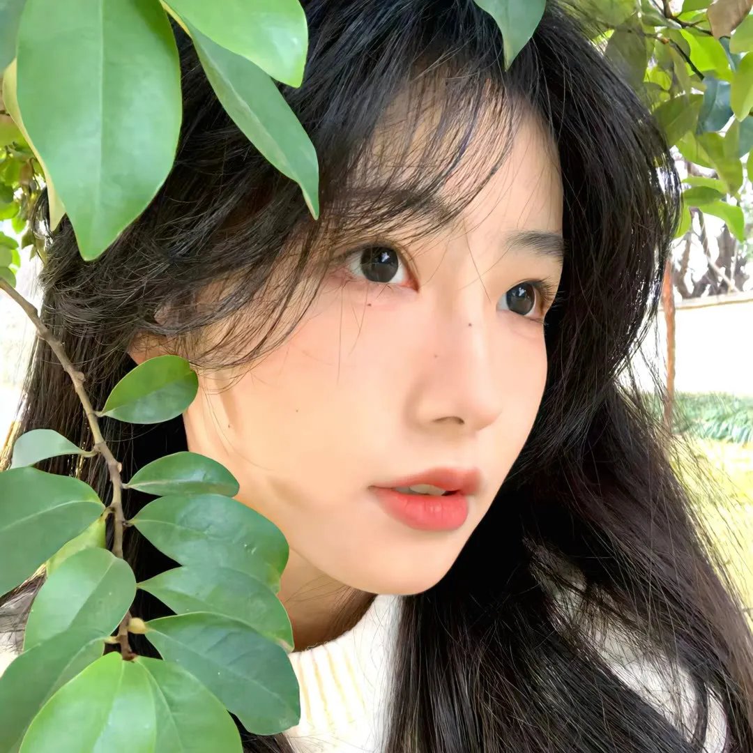 阴月